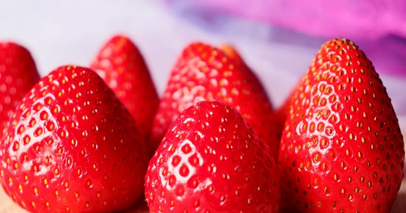 Dessert végétarien facile aux fruits de saison : 5 idées gourmandes