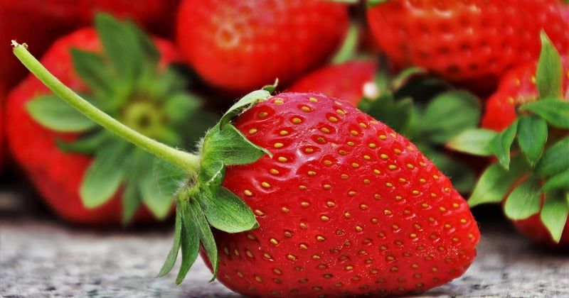 10 idées de desserts légers aux fruits de saison à tester